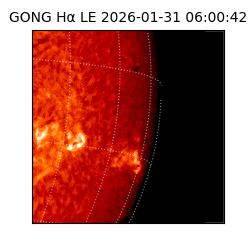 gong - 2026-01-31T06:00:42