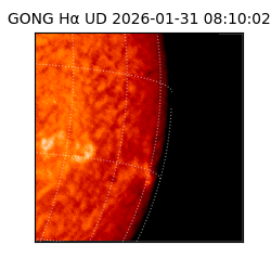 gong - 2026-01-31T08:10:02