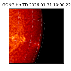 gong - 2026-01-31T10:00:22