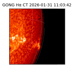 gong - 2026-01-31T11:03:42
