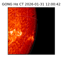 gong - 2026-01-31T12:00:42