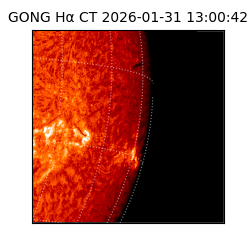 gong - 2026-01-31T13:00:42