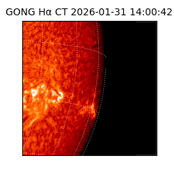 gong - 2026-01-31T14:00:42