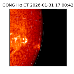 gong - 2026-01-31T17:00:42
