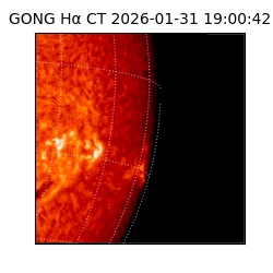 gong - 2026-01-31T19:00:42