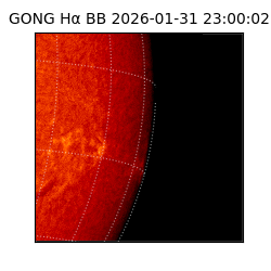gong - 2026-01-31T23:00:02