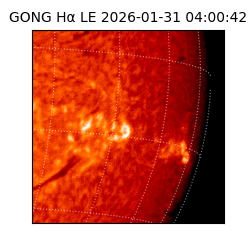 gong - 2026-01-31T04:00:42