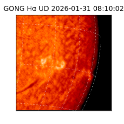 gong - 2026-01-31T08:10:02
