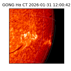 gong - 2026-01-31T12:00:42