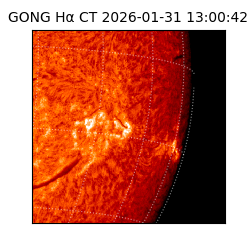 gong - 2026-01-31T13:00:42