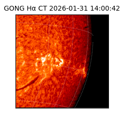gong - 2026-01-31T14:00:42