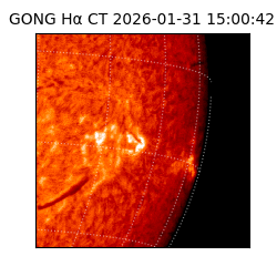 gong - 2026-01-31T15:00:42