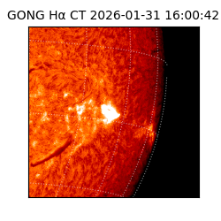 gong - 2026-01-31T16:00:42