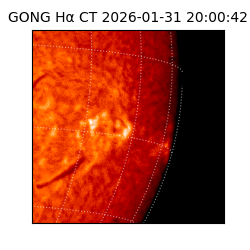 gong - 2026-01-31T20:00:42