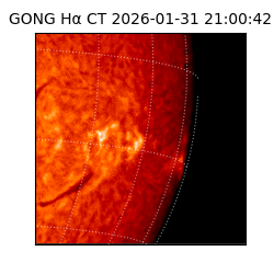 gong - 2026-01-31T21:00:42