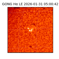gong - 2026-01-31T05:00:42