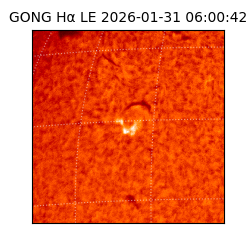 gong - 2026-01-31T06:00:42