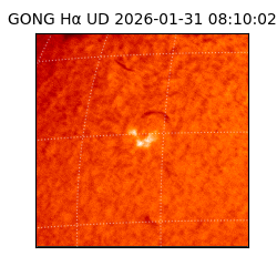 gong - 2026-01-31T08:10:02