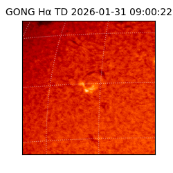 gong - 2026-01-31T09:00:22