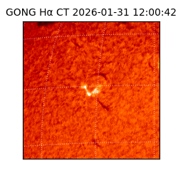 gong - 2026-01-31T12:00:42