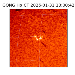 gong - 2026-01-31T13:00:42