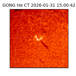 gong - 2026-01-31T15:00:42