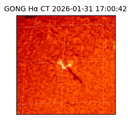 gong - 2026-01-31T17:00:42