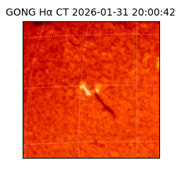 gong - 2026-01-31T20:00:42