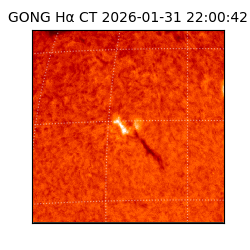 gong - 2026-01-31T22:00:42