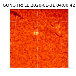 gong - 2026-01-31T04:00:42