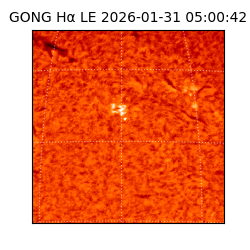 gong - 2026-01-31T05:00:42