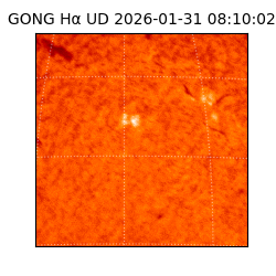 gong - 2026-01-31T08:10:02