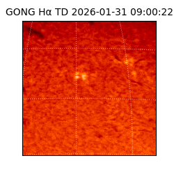 gong - 2026-01-31T09:00:22