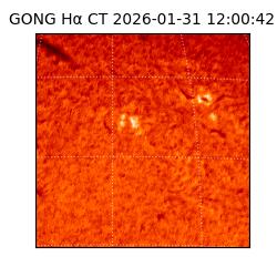 gong - 2026-01-31T12:00:42