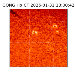 gong - 2026-01-31T13:00:42