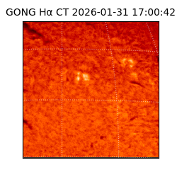 gong - 2026-01-31T17:00:42