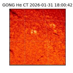 gong - 2026-01-31T18:00:42