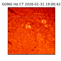 gong - 2026-01-31T19:00:42