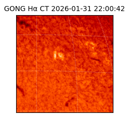 gong - 2026-01-31T22:00:42