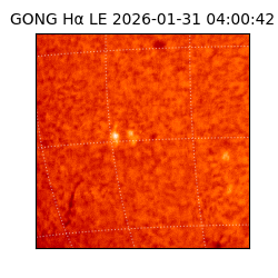 gong - 2026-01-31T04:00:42