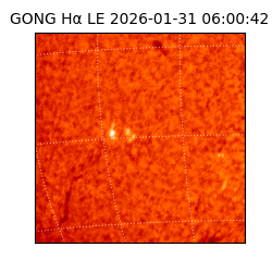 gong - 2026-01-31T06:00:42