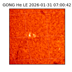 gong - 2026-01-31T07:00:42