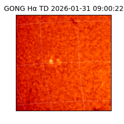 gong - 2026-01-31T09:00:22