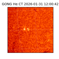 gong - 2026-01-31T12:00:42