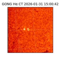 gong - 2026-01-31T15:00:42