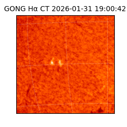 gong - 2026-01-31T19:00:42