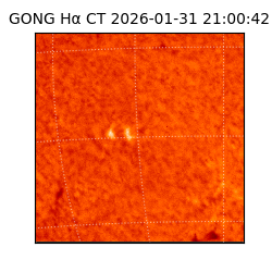 gong - 2026-01-31T21:00:42