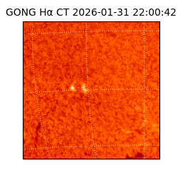 gong - 2026-01-31T22:00:42