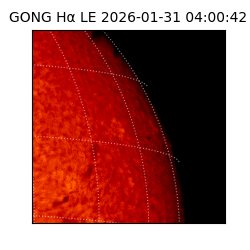gong - 2026-01-31T04:00:42