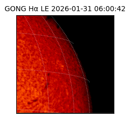 gong - 2026-01-31T06:00:42